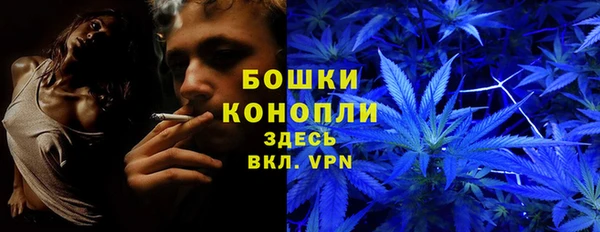 прущие крисы Беломорск