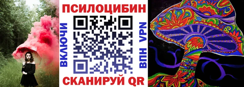 Галлюциногенные грибы Psilocybe наркота Кочубеевское