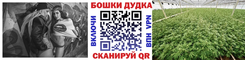 Шишки марихуана сатива  Кочубеевское 
